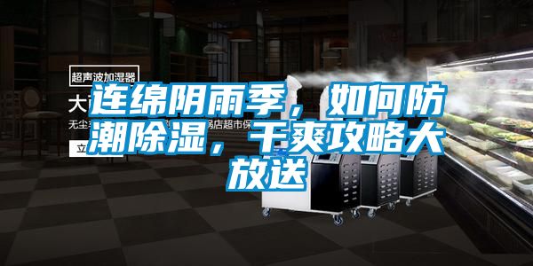 連綿陰雨季，如何防潮除濕，干爽攻略大放送