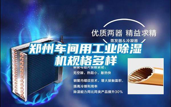 鄭州車間用工業除濕機規格多樣