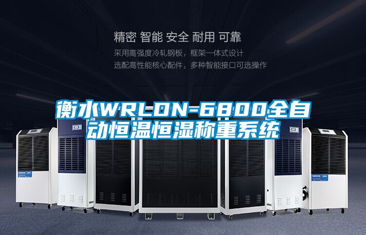 衡水WRLDN-6800全自動恒溫恒濕稱重系統