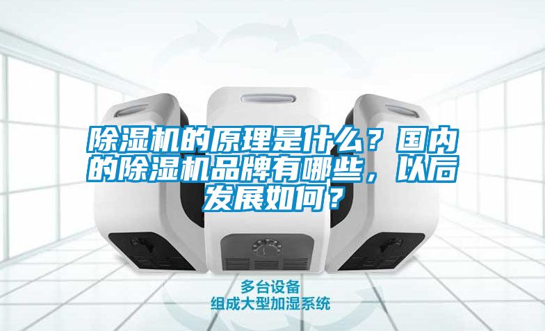 除濕機的原理是什么？國內的除濕機品牌有哪些，以后發展如何？