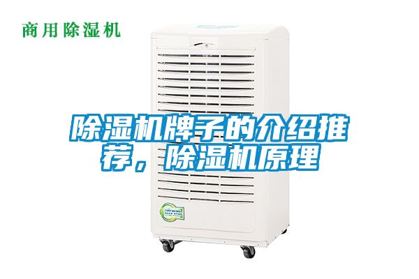 除濕機牌子的介紹推薦，除濕機原理