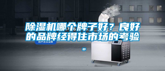 除濕機哪個牌子好？良好的品牌經得住市場的考驗。