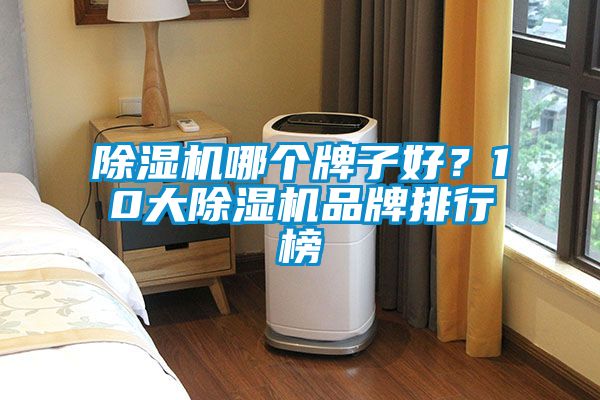 除濕機哪個牌子好？10大除濕機品牌排行榜
