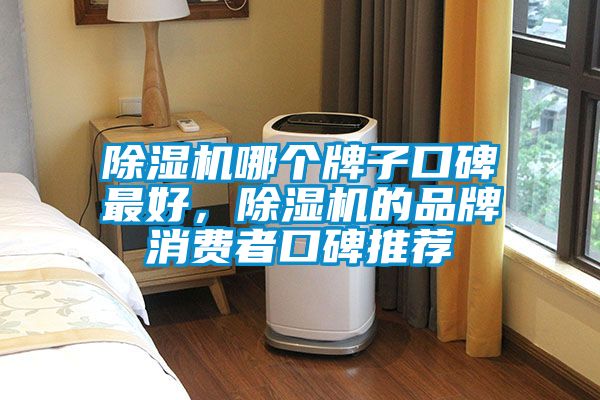 除濕機(jī)哪個(gè)牌子口碑最好，除濕機(jī)的品牌消費(fèi)者口碑推薦