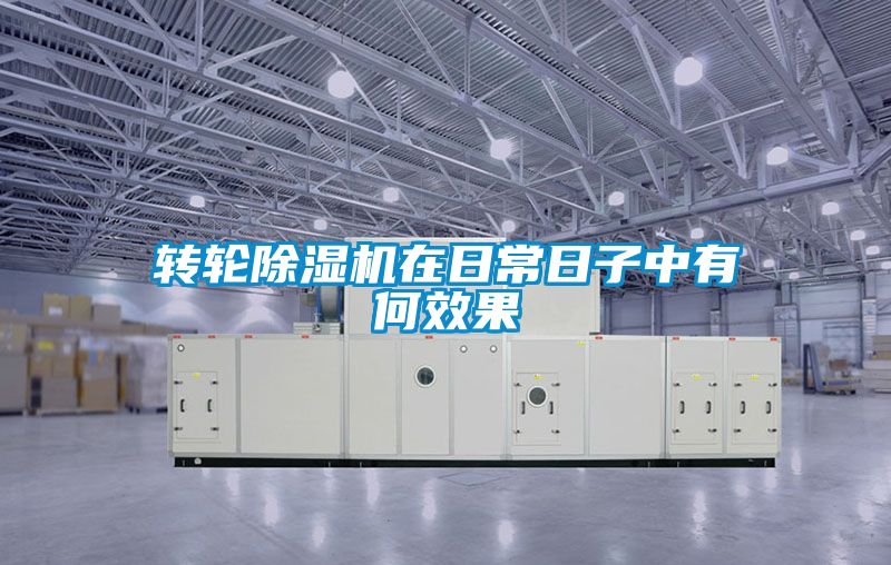 轉輪除濕機在日常日子中有何效果