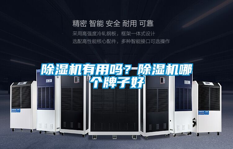 除濕機有用嗎？除濕機哪個牌子好