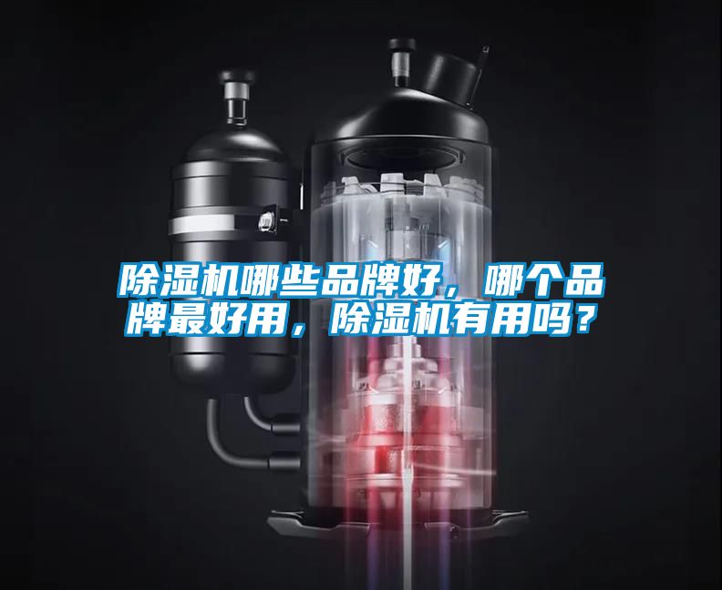 除濕機哪些品牌好，哪個品牌最好用，除濕機有用嗎？