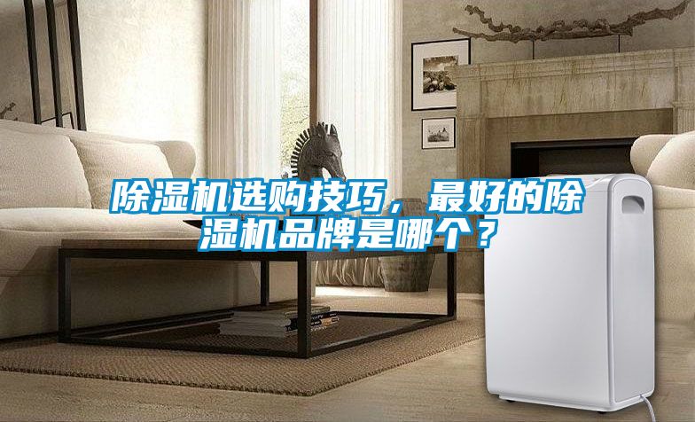 除濕機選購技巧，最好的除濕機品牌是哪個？