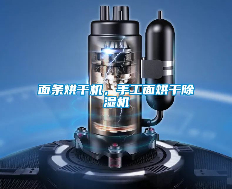 面條烘干機，手工面烘干除濕機