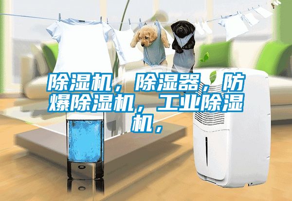 除濕機，除濕器，防爆除濕機，工業除濕機，