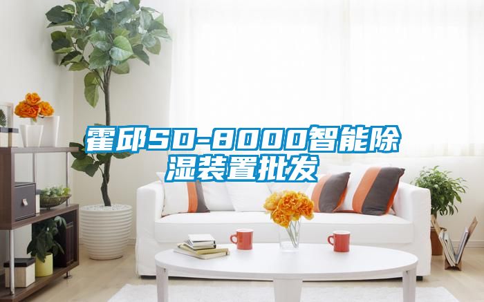 霍邱SD-8000智能除濕裝置批發