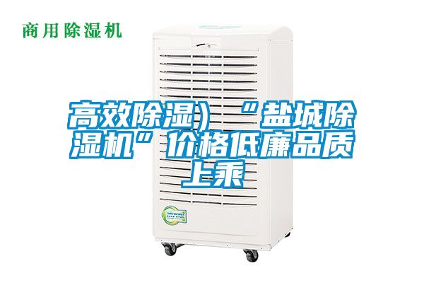 高效除濕）“鹽城除濕機”價格低廉品質上乘