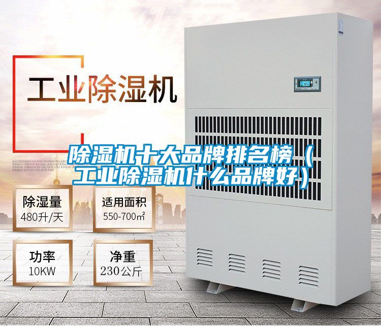 除濕機十大品牌排名榜（工業除濕機什么品牌好）