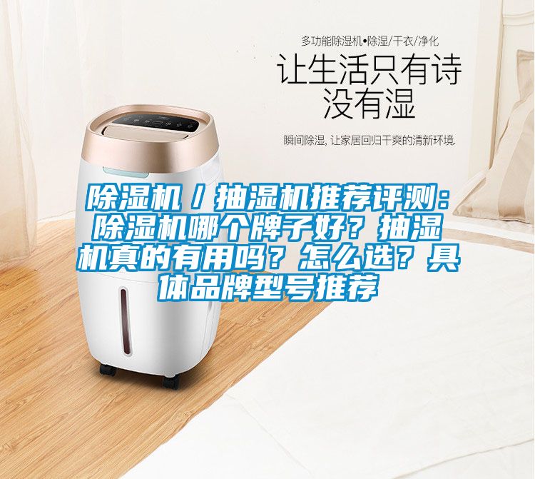 除濕機／抽濕機推薦評測：除濕機哪個牌子好？抽濕機真的有用嗎？怎么選？具體品牌型號推薦