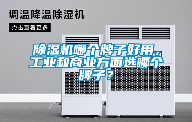 除濕機哪個牌子好用，工業和商業方面選哪個牌子？