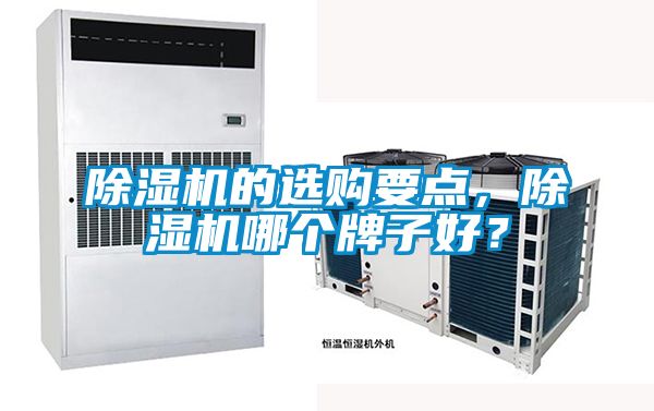 除濕機(jī)的選購(gòu)要點(diǎn)，除濕機(jī)哪個(gè)牌子好？