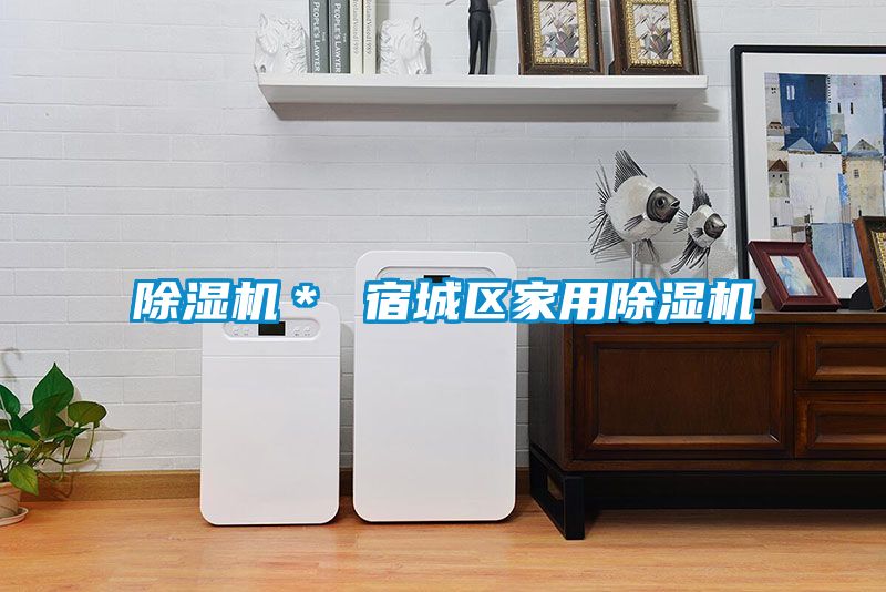 除濕機＊ 宿城區家用除濕機