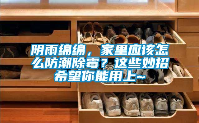 陰雨綿綿，家里應該怎么防潮除霉？這些妙招希望你能用上~