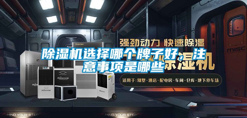 除濕機選擇哪個牌子好，注意事項是哪些