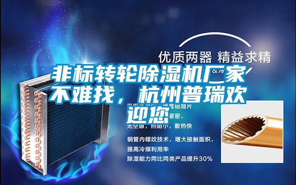 非標轉輪除濕機廠家不難找，杭州普瑞歡迎您