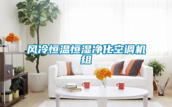 風冷恒溫恒濕凈化空調(diào)機組