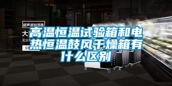 高溫恒溫試驗箱和電熱恒溫鼓風(fēng)干燥箱有什么區(qū)別
