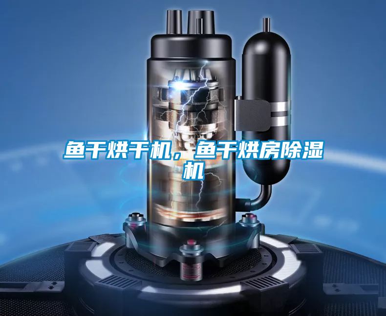 魚干烘干機，魚干烘房除濕機