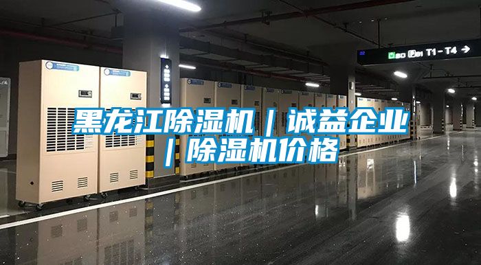 黑龍江除濕機｜誠益企業｜除濕機價格