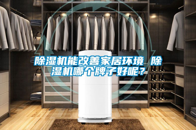 除濕機(jī)能改善家居環(huán)境 除濕機(jī)哪個牌子好呢？