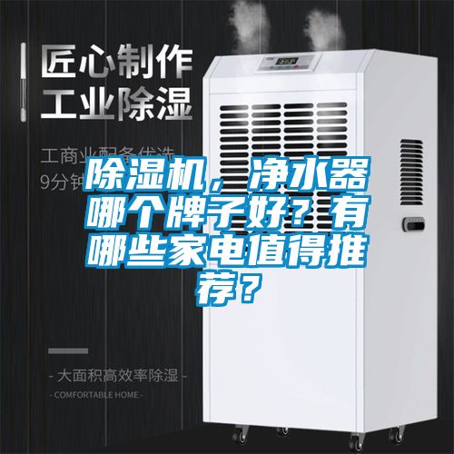 除濕機，凈水器哪個牌子好？有哪些家電值得推薦？