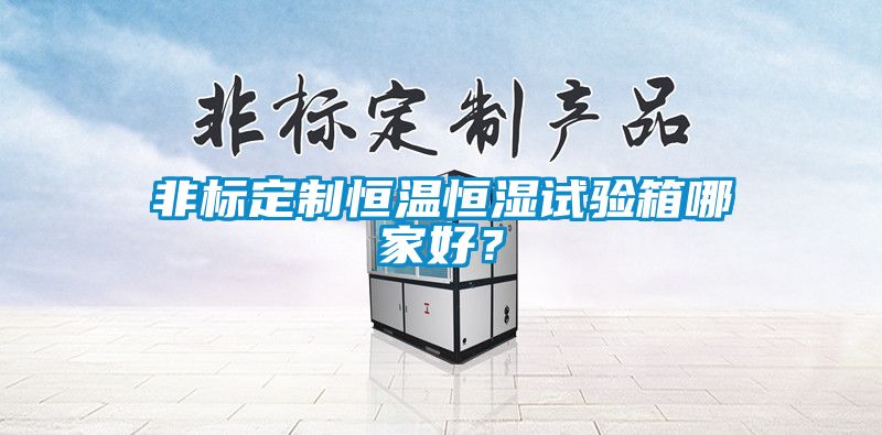 非標定制恒溫恒濕試驗箱哪家好？