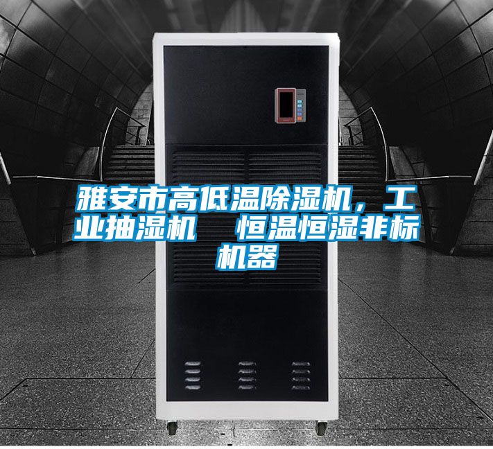 雅安市高低溫除濕機，工業抽濕機  恒溫恒濕非標機器