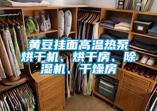 黃豆掛面高溫熱泵烘干機、烘干房、除濕機、干燥房