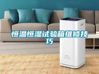 知識百科恒溫恒濕試驗箱維修技巧