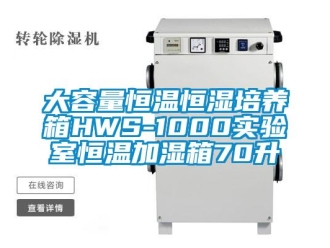 知識百科大容量恒溫恒濕培養箱HWS-1000實驗室恒溫加濕箱70升