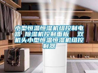 知識(shí)百科小型恒溫恒濕機(jī)組控制電路 除濕機(jī)控制面板  雙機(jī)頭小型恒溫恒濕機(jī)組控制器