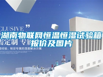 知識(shí)百科湖南物聯(lián)網(wǎng)恒溫恒濕試驗(yàn)箱報(bào)價(jià)及圖片