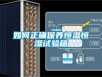 知識(shí)百科如何正確保養(yǎng)恒溫恒濕試驗(yàn)箱