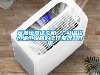 知識(shí)百科恒溫恒濕試驗(yàn)箱 ／可編程恒溫恒濕箱的工作原理和作用