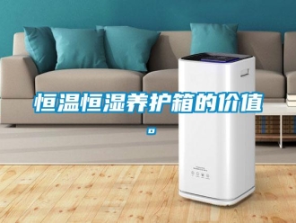 知識百科恒溫恒濕養護箱的價值。