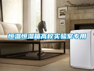 知識百科恒溫恒濕箱高校實驗室專用