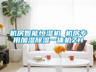 知識(shí)百科機(jī)房智能恒濕機(jī) 機(jī)房專用加濕除濕一體機(jī)ZH