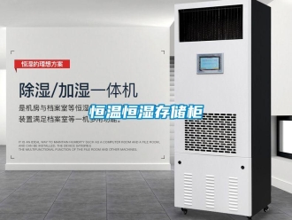 知識(shí)百科恒溫恒濕存儲(chǔ)柜