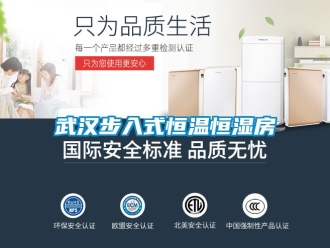 知識百科武漢步入式恒溫恒濕房