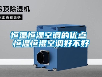 知識(shí)百科恒溫恒濕空調(diào)的優(yōu)點(diǎn) 恒溫恒濕空調(diào)好不好