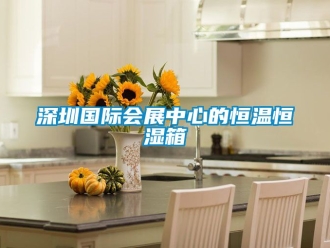 知識(shí)百科深圳國(guó)際會(huì)展中心的恒溫恒濕箱