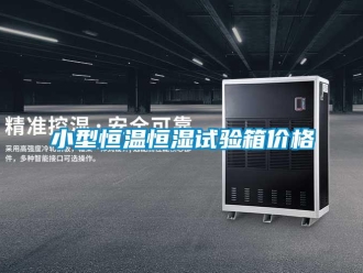 知識(shí)百科小型恒溫恒濕試驗(yàn)箱價(jià)格