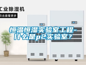 知識百科恒溫恒濕實驗室工程-什么是p2實驗室？