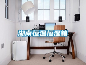 知識(shí)百科湖南恒溫恒濕箱