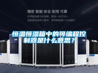 知識(shí)百科恒溫恒濕箱中的可編程控制器是什么意思？